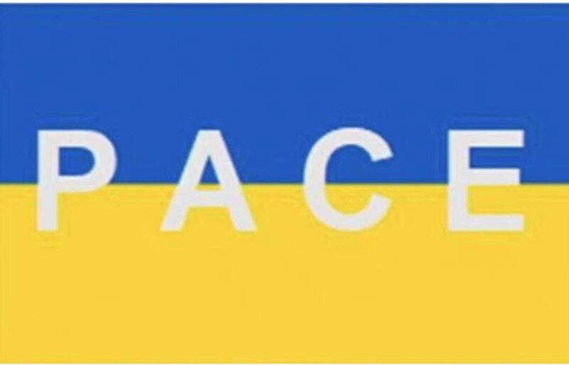 Trade Shop Traesio - Trade Shop - friedensflagge 70X100CM ukraine mit seitlicher öse für stoffstick -