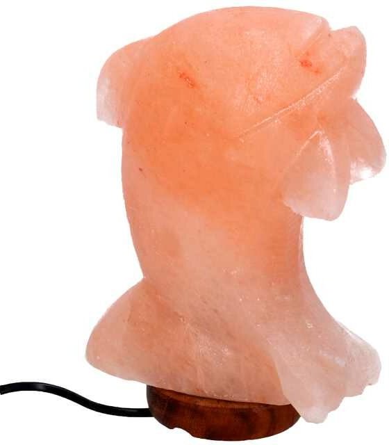 Holzsockel Delphin Salzlampe mit Anschluss cm16x7h23