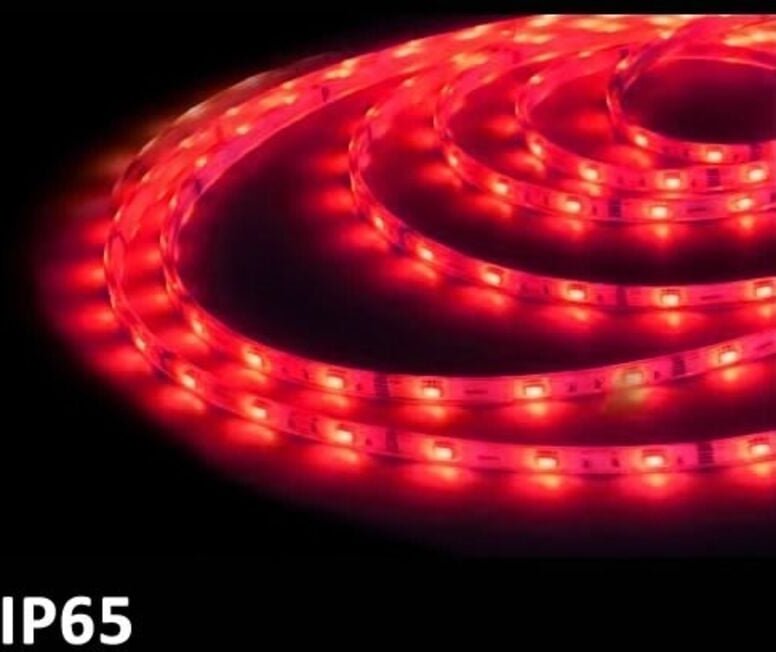 GSC - LED-Streifen 5 m rot SMD5050 7,2 w / m IP65 24 v 1504595