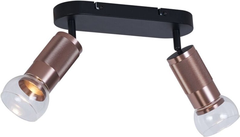 Abgerundeter Deckenstrahler Dunkelbronze 2-flammig Verstellbar - Veerle