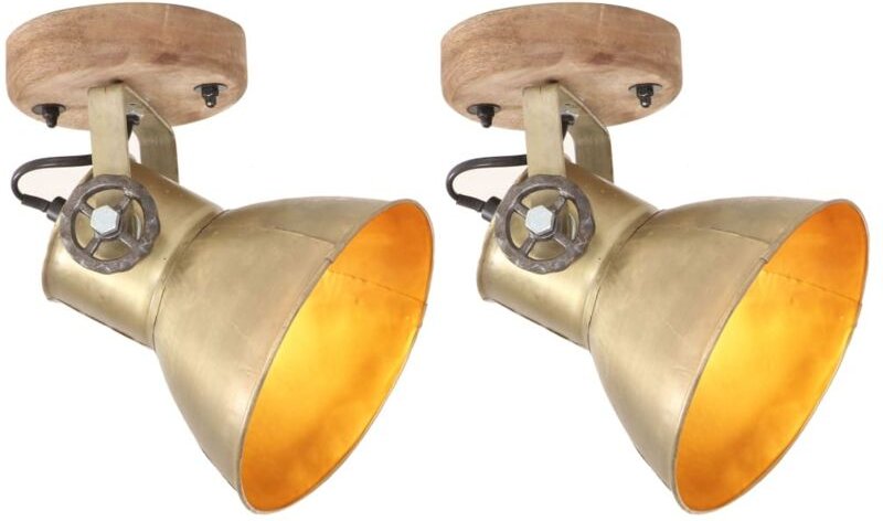 vidaXL Wand-/Deckenlampen Industriestil 2 Stk. Messing 20x25 cm E27