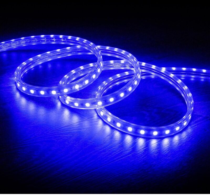 LED Streifen 220V AC 60 LED/m Blau IP65 nach Mass Breite 14mm Schnitt alle 100cm 3 m