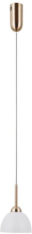 LED-Hängelampe 5W MONTIELA PND343741HBR Italux