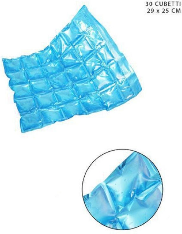 Trade Shop Traesio - Trade Shop - tabelle refrigeranträge 30 cubetti ghiaccciator 29X25CM 0225167 -