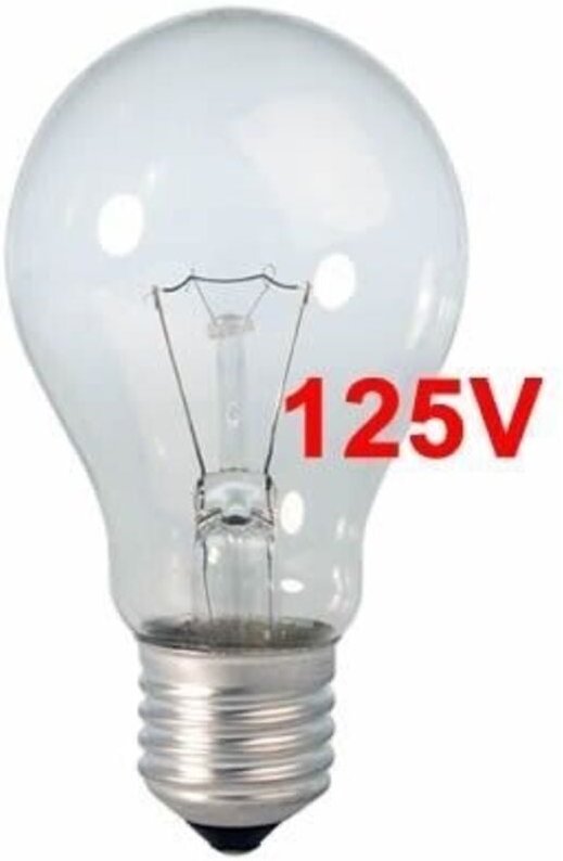 Ltde - Klare Standardglühbirne, 60 w, E27, 125 v (nur für den industriellen Gebrauch) 35402