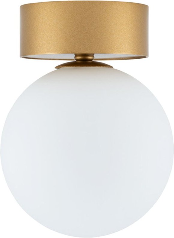 Deckenleuchte KIER 1 G9 Satin Gold Nowodvorski 10623