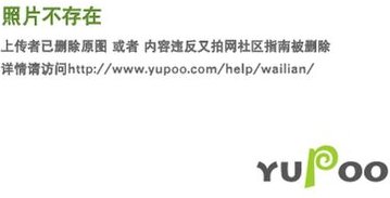 Swanew Fackeln Gartenfackeln Kinderfackel Brennzeit Fackel Hochzeit Wachsfackeln Kinderfackeln für Hochzeiten mit langer...