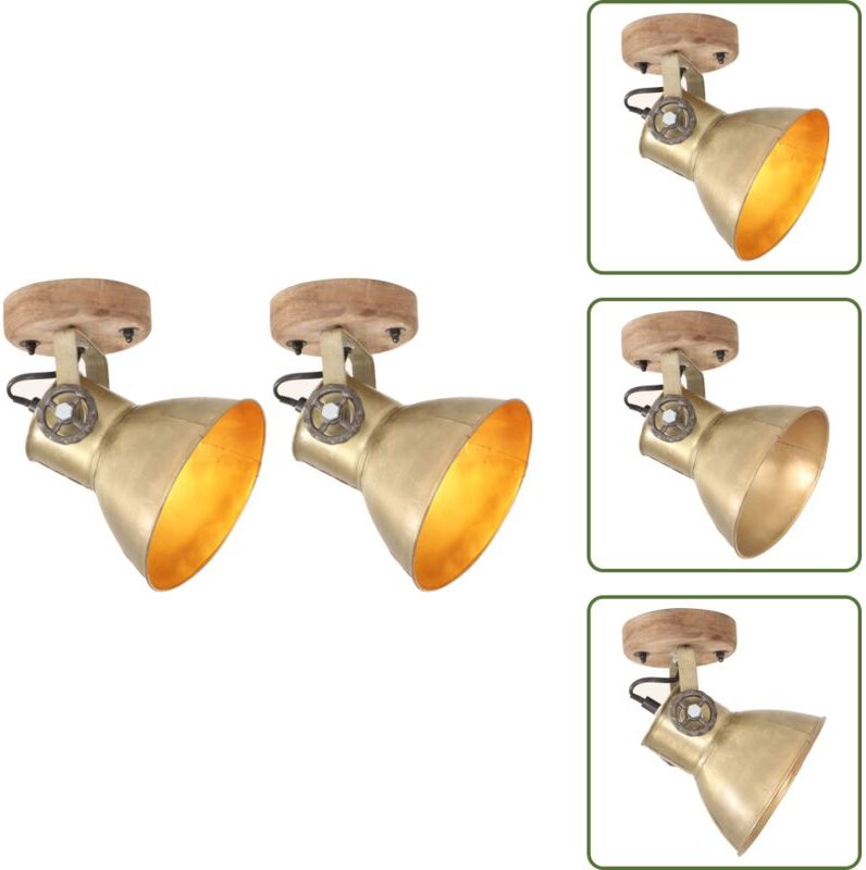 Messing - vidaXL Wand-/Deckenlampen Industriestil 2 Stk. Messing 20x25 cm E27 - Eisen