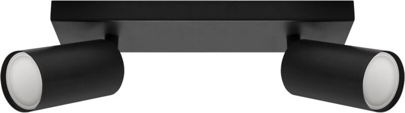 Wand- und Deckenstrahler MANAM GU10 2L schwarz