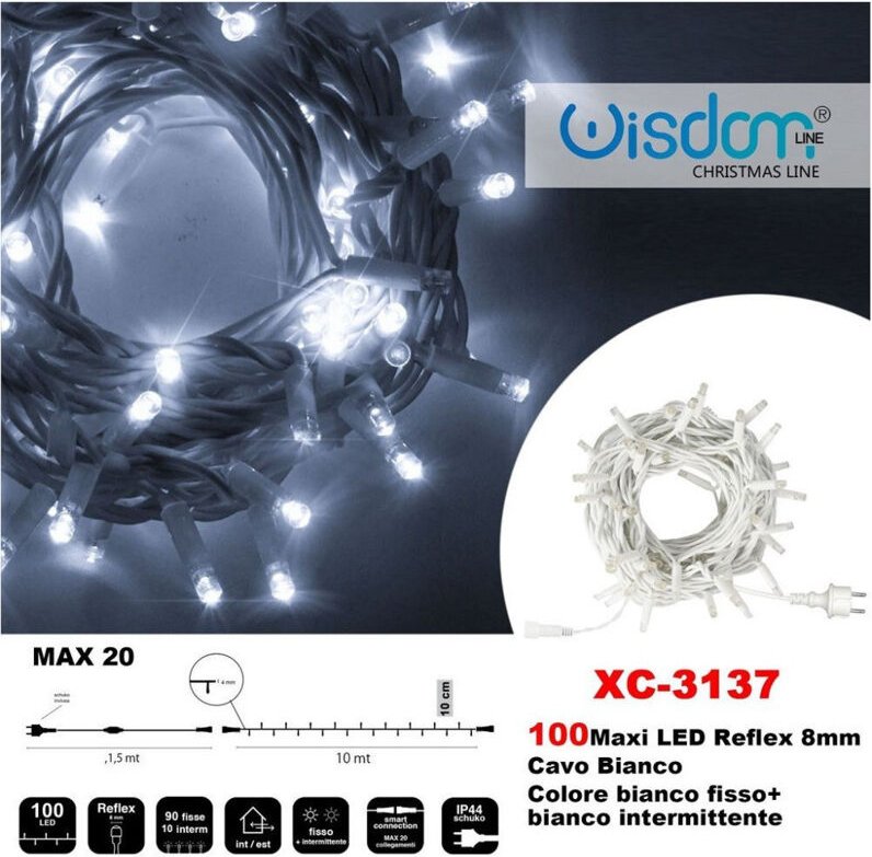 Trade Shop Traesio - Trade Shop - lichterkette 100 led-leuchten glühwürmchen weiss fest + weiss blinkend XC-3137 -