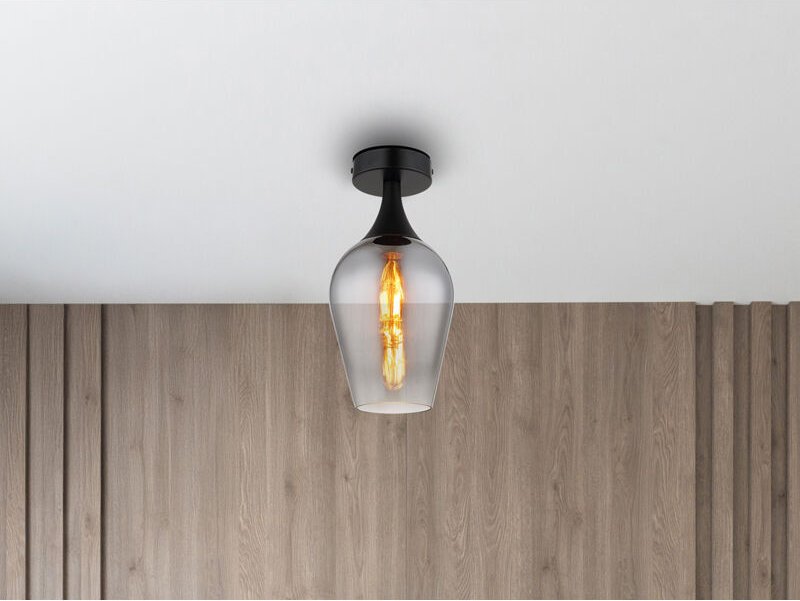 Meinewunschleuchte - Kleine led Deckenleuchte mit Rauchglas Lampenschirm, ø 15cm