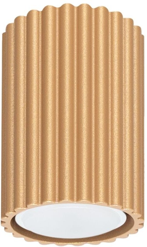 Licht-erlebnisse - Spot Leuchte Decke Aluminium GU10 d: 6,5 cm rund Aufputz in Gold Modern Lampe Deckenspot