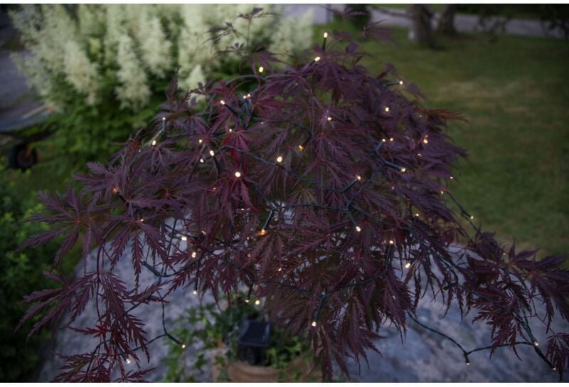 Solar Lichterkette Basis, led, Outdoor, Schwarz, Dämmerungssensor, Warmweiß, 10 m - Star Trading