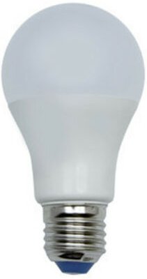 LED-Glühbirne E27 10W 12Vdc 6500K standard A60