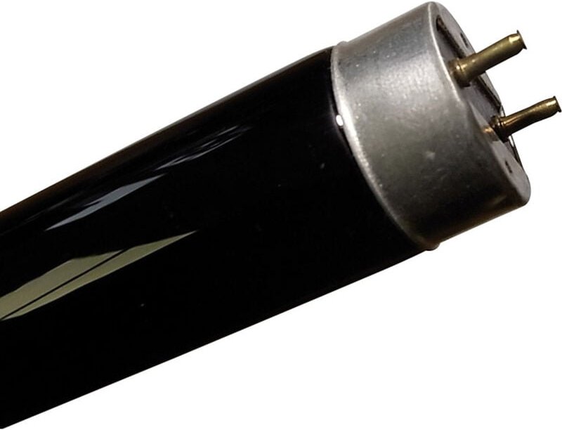 F8T5/BLB-EI UV-Röhre T5 8 w - Eiko