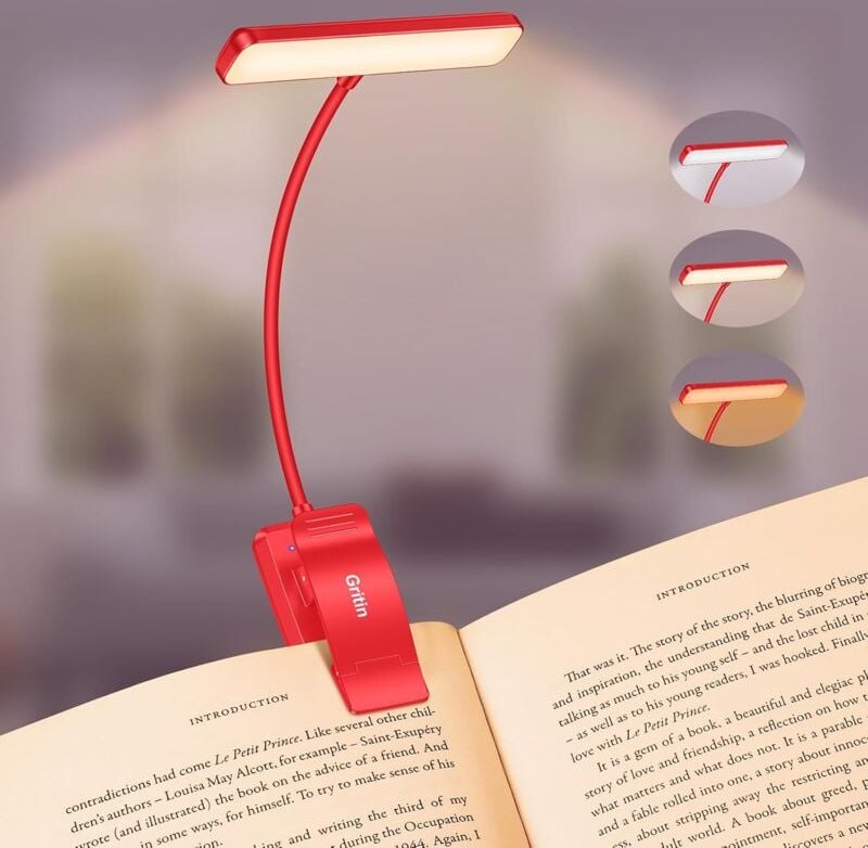 Tragbare 9-LED-Leseleuchte, wiederaufladbare Klemmlampe, Augenschutz, stufenloses Dimmen und 3 Beleuchtungsmodi, 360° fl...