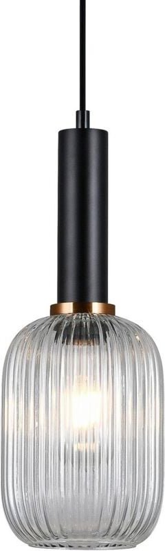 Antiola - Moderner hängender Anhänger Schwarz 1 Licht mit klarem Schatten, E27 - Italux