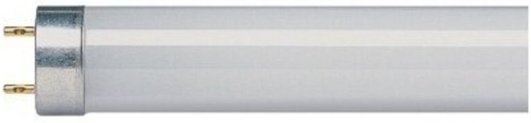 Standard-Fluoreszierender Rohr G5 Weiß Kalt 35 1449 X 16 3290