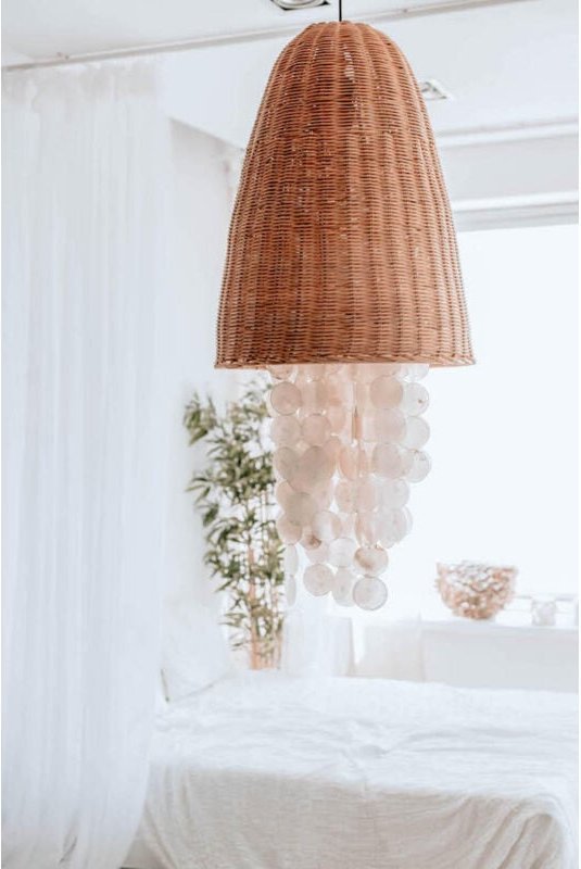 Shell S Lamp