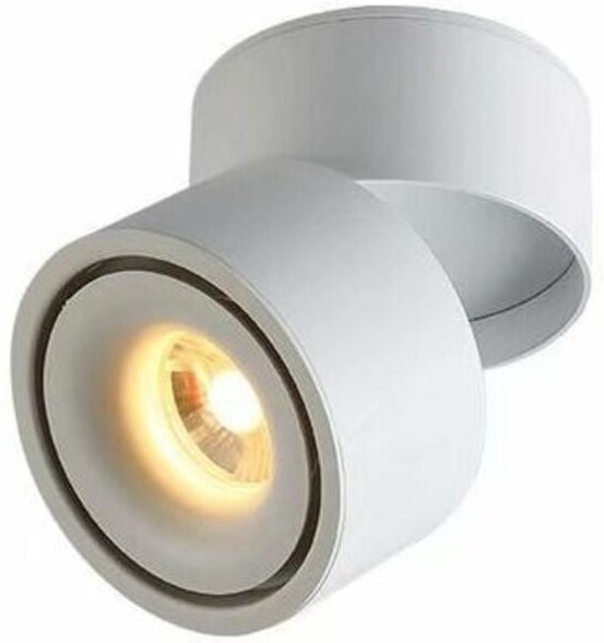 LED-Strahler-Deckenleuchte (5 W, weiß (warmes Licht))