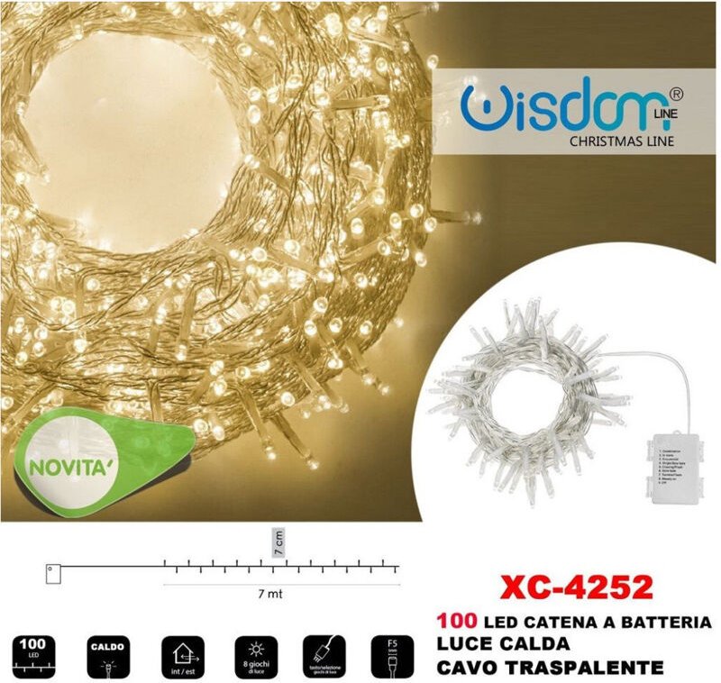 Trade Shop Traesio - Trade Shop - 100LED-Glühwürmchenlichter mit Batterie, transparentes Kabel, warmes Licht, XC-4252 -