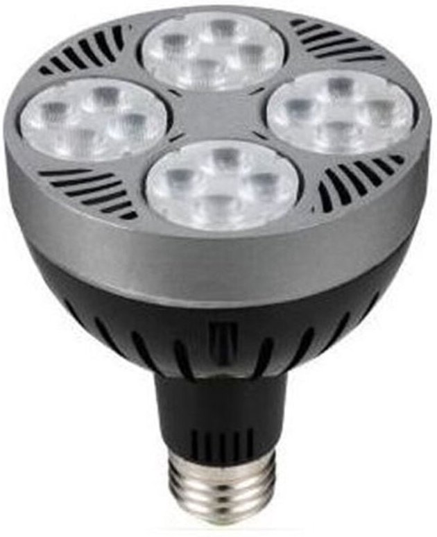 Trade Shop Traesio - Trade Shop - lampe birne PAR30 E27 36 watt 24 led strahler kaltes licht P30-1 spot -