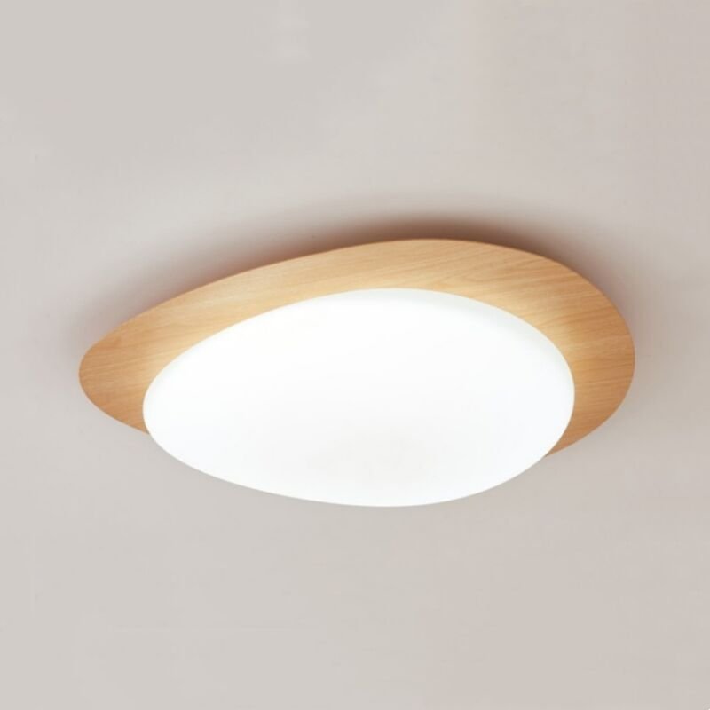 Led Deckenlampen Nordic Deckenleuchte Metall Acryl Wohnzimmerlampe Innen Schlafzimmerlampe Kaltweiß Licht - 1Pcs