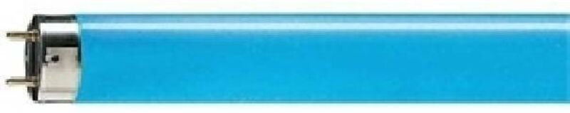 Leuchtstoffröhre master tl-d - T8, 180 Blau - 36W (1200mm) - Philips