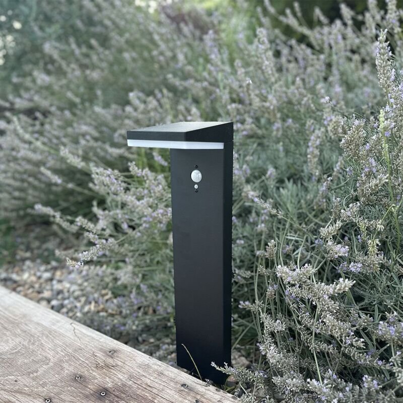 Jackson Equi. 60W Solar Terminal 3-Modus-Anwesenheitsmelder