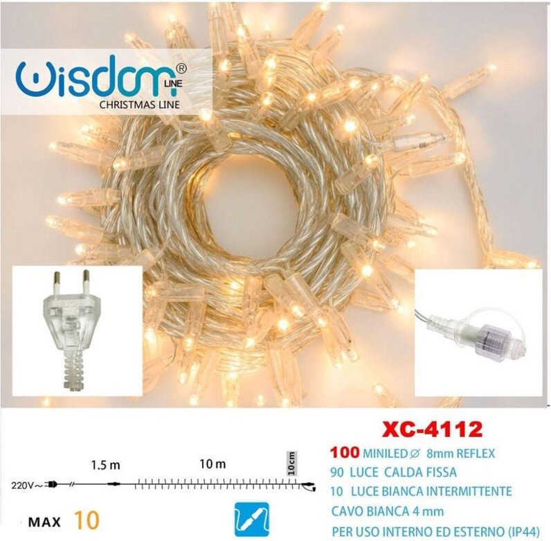 Trade Shop Traesio - Trade Shop - lichterkette 100 led-leuchten glühwürmchen warm fest + weiss blinkend XC-4112 -