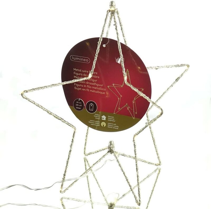 Lumineo - Weihnachtsstern ø 28 cm 20 Micro LED´s batteriebetrieben für Innen