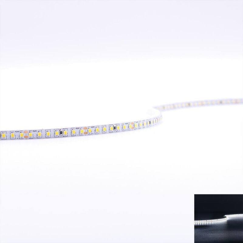 Strip 24V LED Streifen 5M 8W/m 224LED/m 5mm - Lichtfarbe: Kaltweiß 6000K - Schutzart: IP20