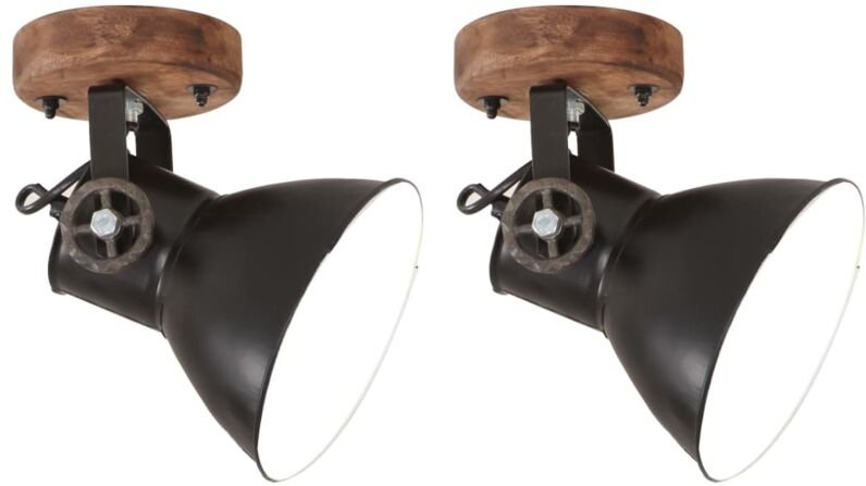 Wand-/Deckenlampen Industriestil 2 Stk. Schwarz 20x25 cm E27 Vidaxl
