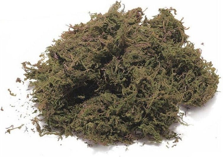 Trade Shop Traesio - Trade Shop - vorschriften für die ausgaben nach 300GR für natalizie dekorationen -