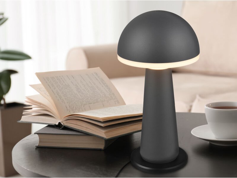 Reality Leuchten - Akku led Tischleuchte fungo kabellos für Innen & Außen, Anthrazit - Höhe 30cm