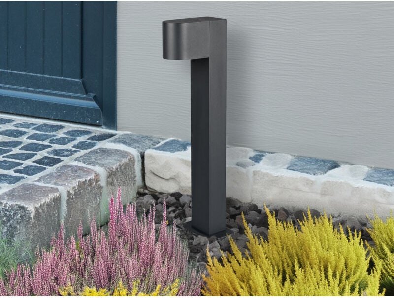 Trio - Sockelleuchte roya in Anthrazit IP44 - Außenleuchten Wegeleuchten, Höhe 50cm