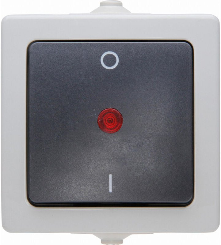 Kopp - nautic – Ausschalter, beleuchtet, 2-polig, Farbe: grau - 565296007