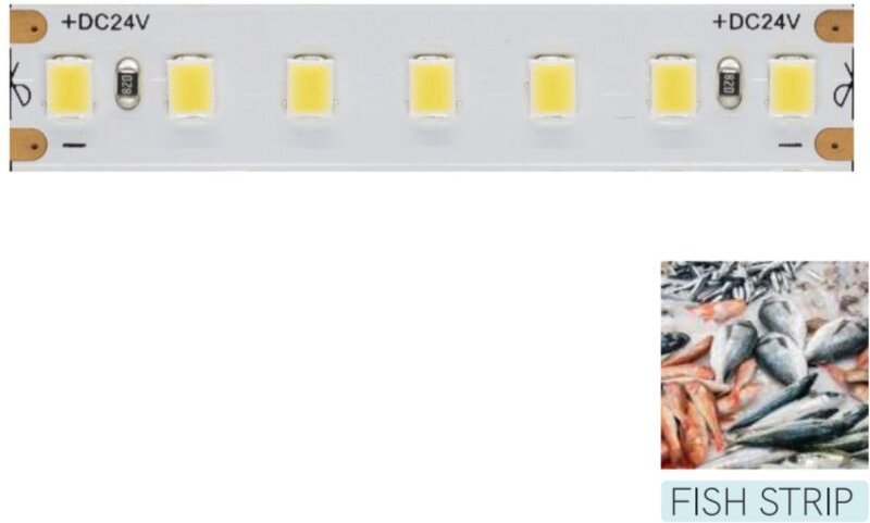 Beneito Faure - LED-Streifen zur Beleuchtung der Fischfuttertheke – 5 m Spule 14,4 W/M 95 LM/W IP20 11.600 K