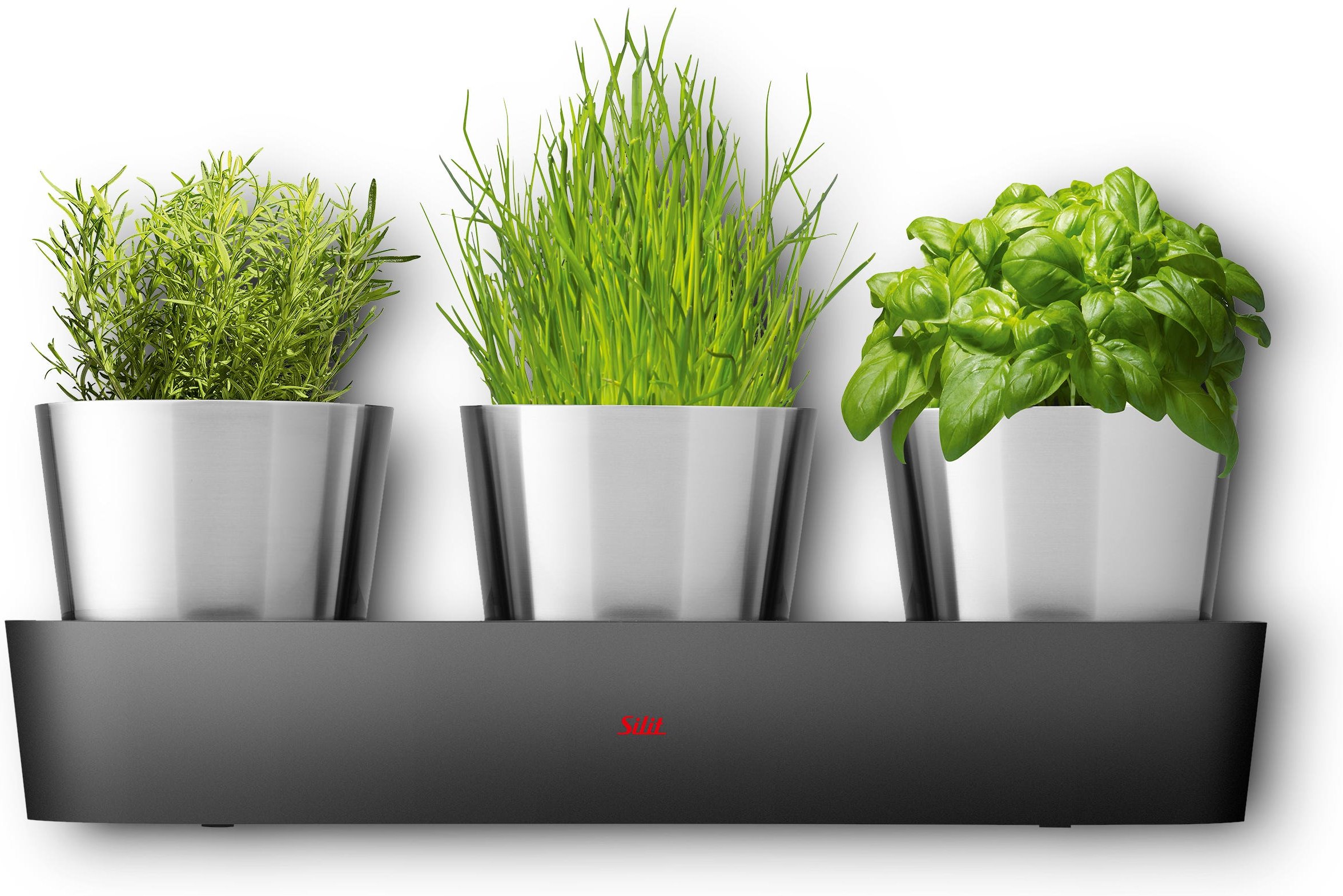 Silit Collexio Indoor Kräutergarten, 3-teilig