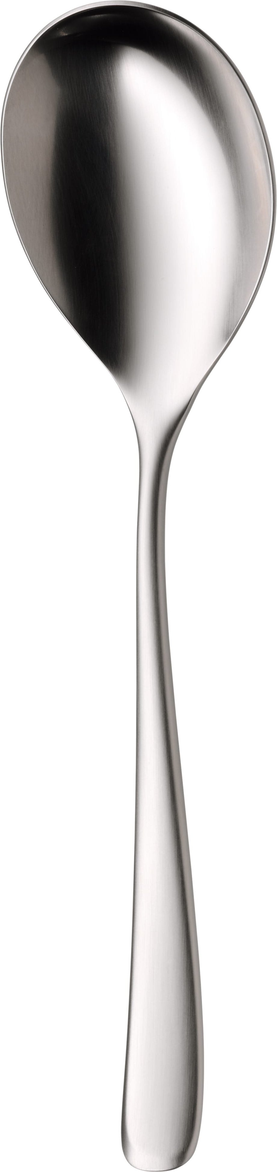 Vision Servierlöffel