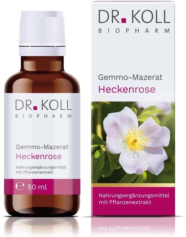 Gemmo-Mazerat Heckenrose Dr.Koll Rosa canina Tro. 50 ml Tropfen