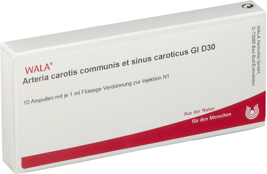Arteria Carotis Communis et sin.carot.GL D 30 Amp. 10x1 ml Ampullen