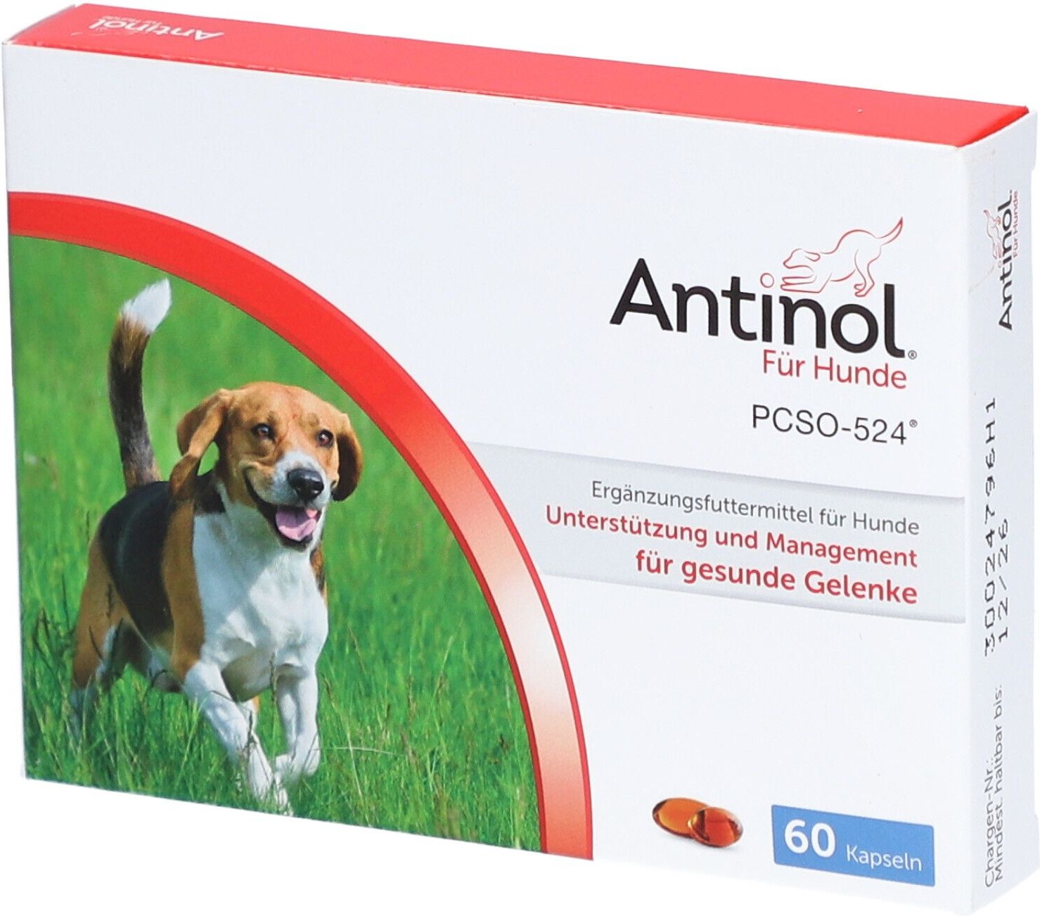 Antinol Hund, Packung mit 60 Tabletten St Kapseln