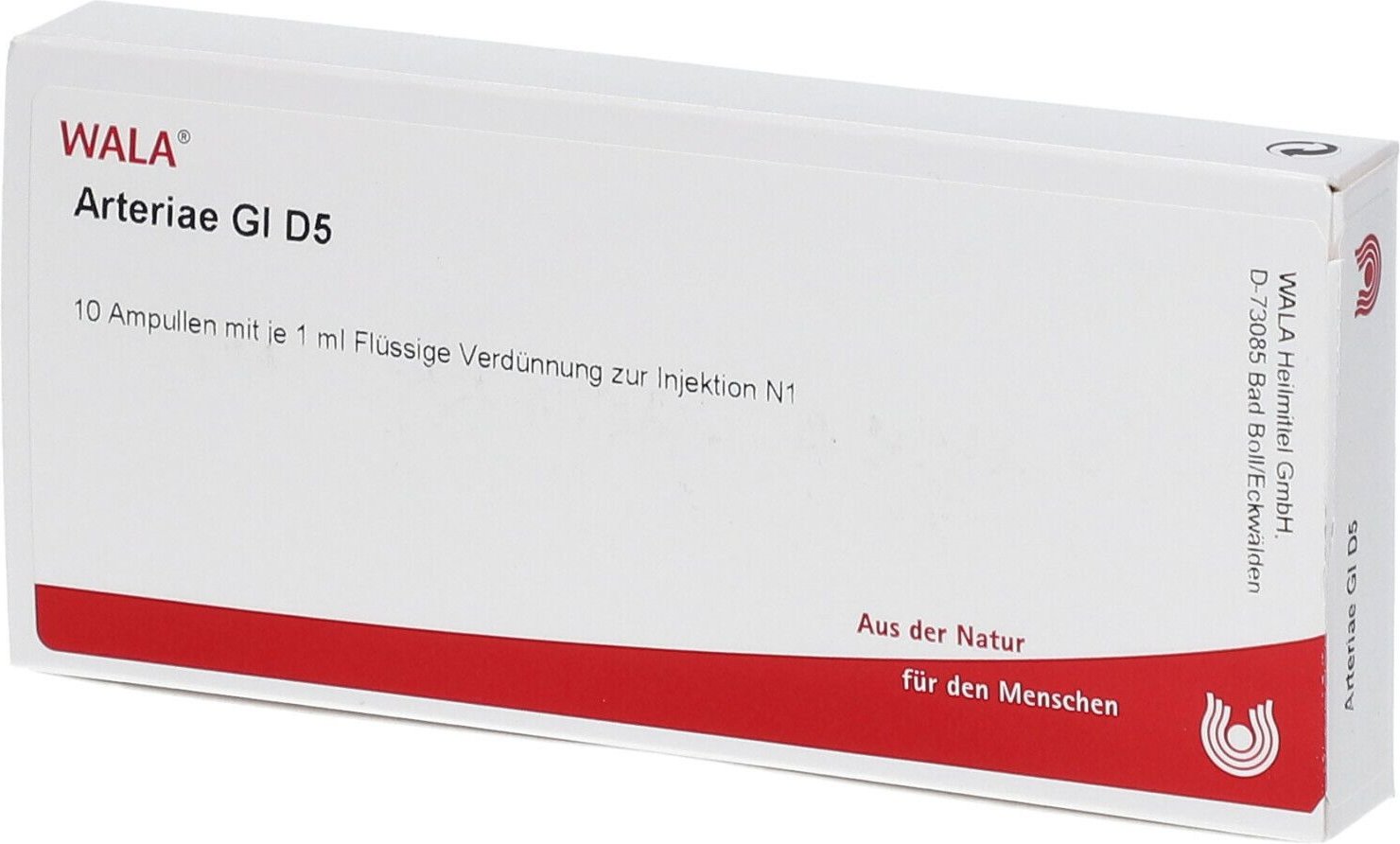 Arteriae GL D 5 Ampullen