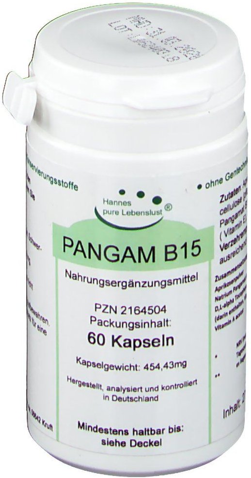 Pangam Vitamin B15 Kapseln 60 St