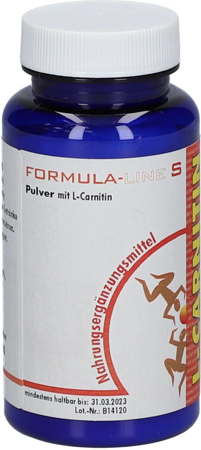 L-Carnitin Pulver 100 g