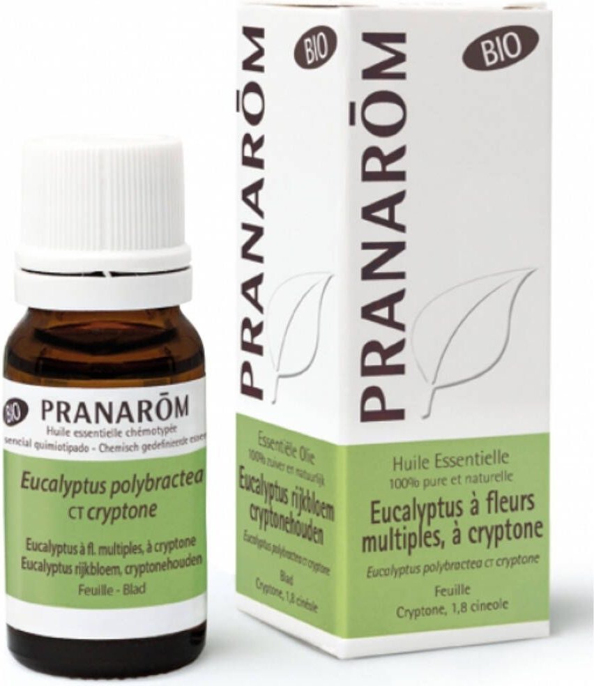 Eucalyptus Cryptone Bio Essentiële Olie 10 ml Ätherisches Öl
