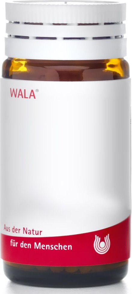 Taraxacum E plant.tota D 3 Globuli 20 g