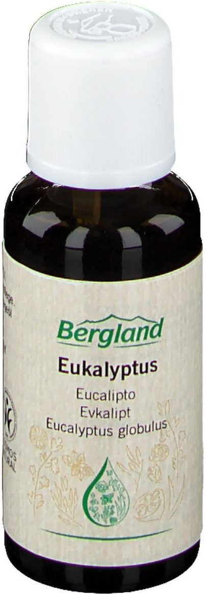 Eukalyptus ÖL natürlich 30 ml Ätherisches Öl