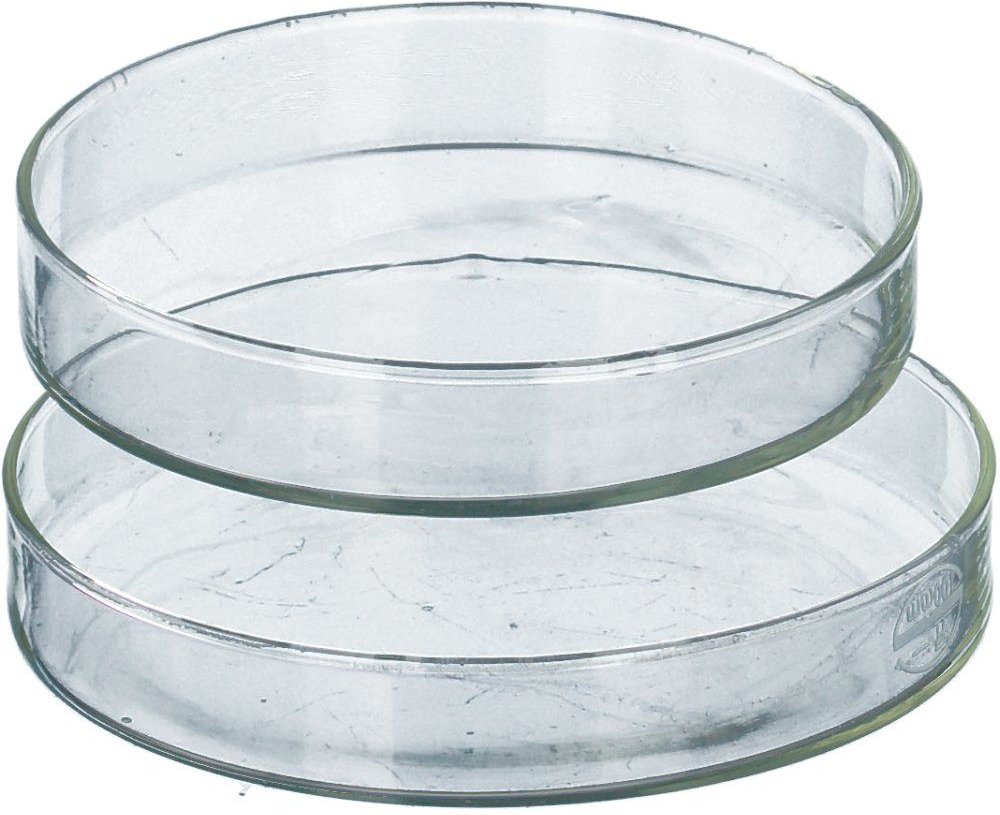 Petrischale 10 cm 1 St Zubehör